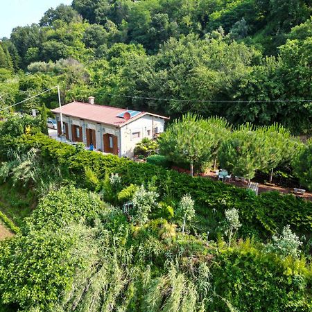 Agriturismo Le Fontane - Lago Di Bolsena Villa Grotte di Castro Exterior photo