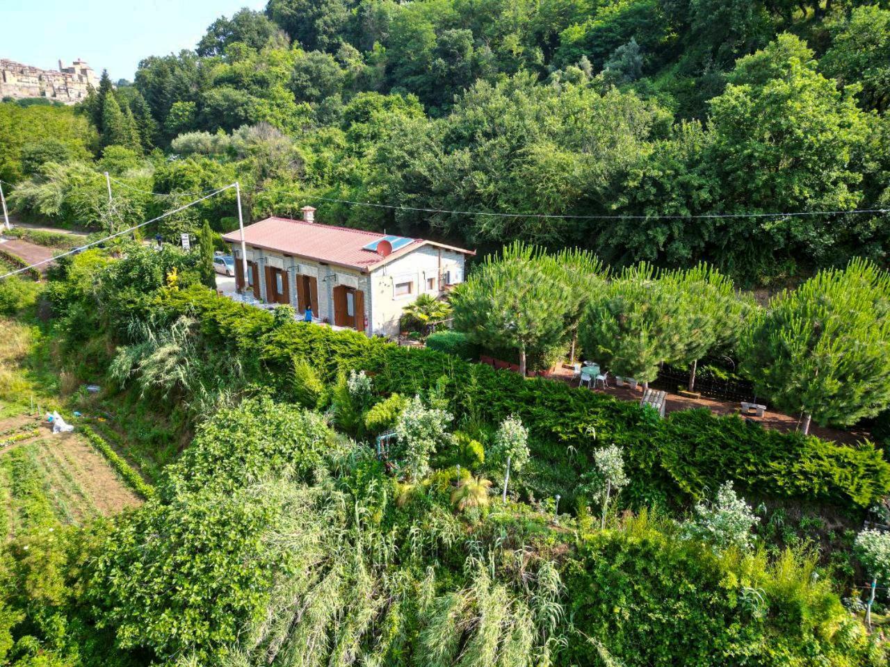 Agriturismo Le Fontane - Lago Di Bolsena Villa Grotte di Castro Exterior photo