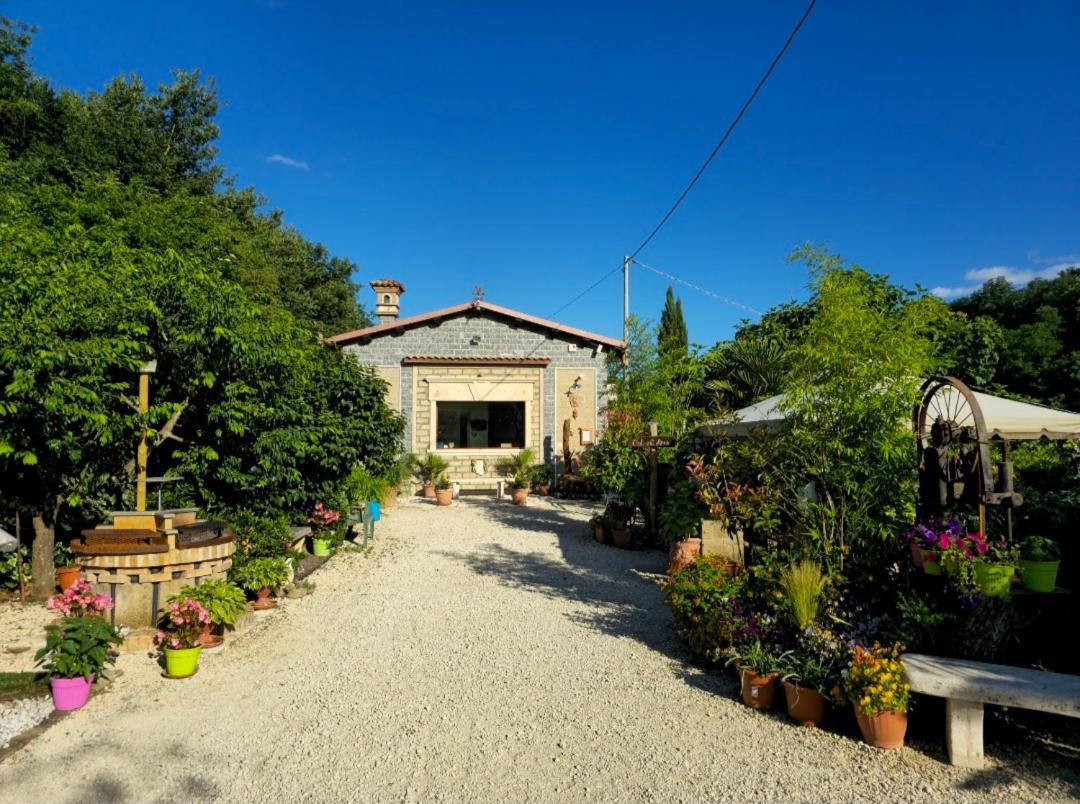 Agriturismo Le Fontane - Lago Di Bolsena Villa Grotte di Castro Exterior photo